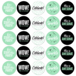Kado Stickers | Let's Party mint (10 stuks) - Afbeelding 2