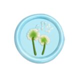 WAX SEAL | Lakzegel Paardenbloem