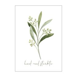 Ansichtkaartje | Takje groen - heel veel sterkte