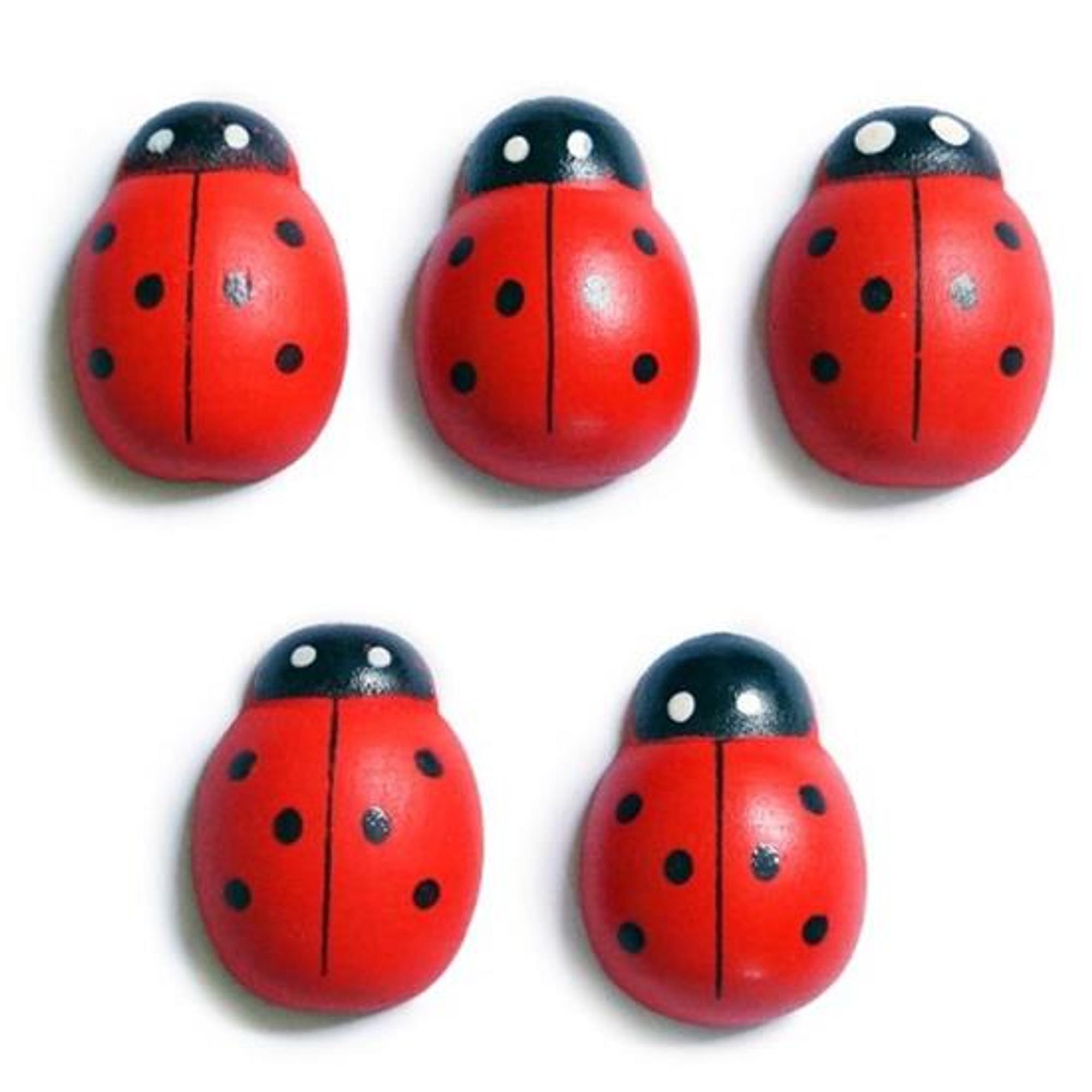 ladybug-xl Kado Deco | Houten lieveheersbeestjes Large (5stuks) - Afbeelding 1